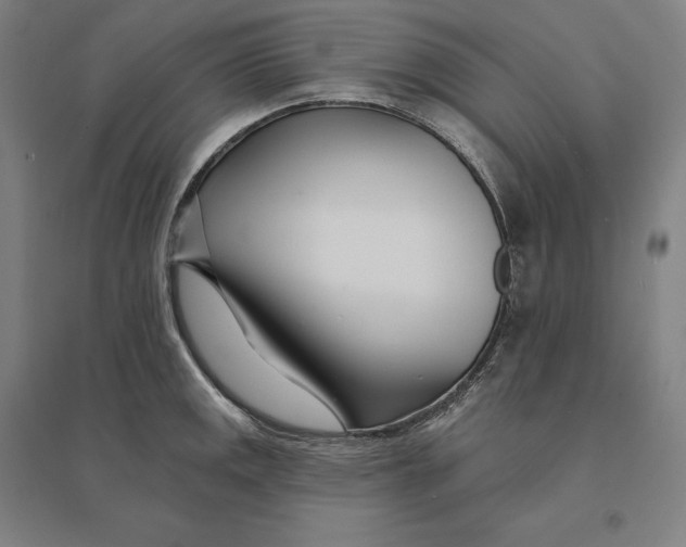 X0000095131141200712301818