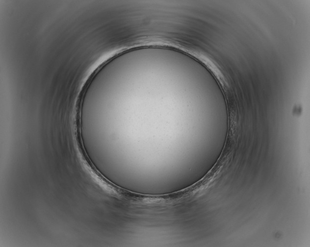 X0000095131142200712301818