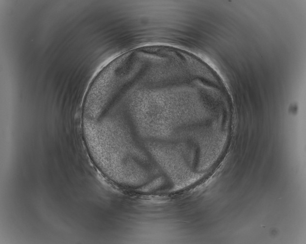 X0000095131145200712301818