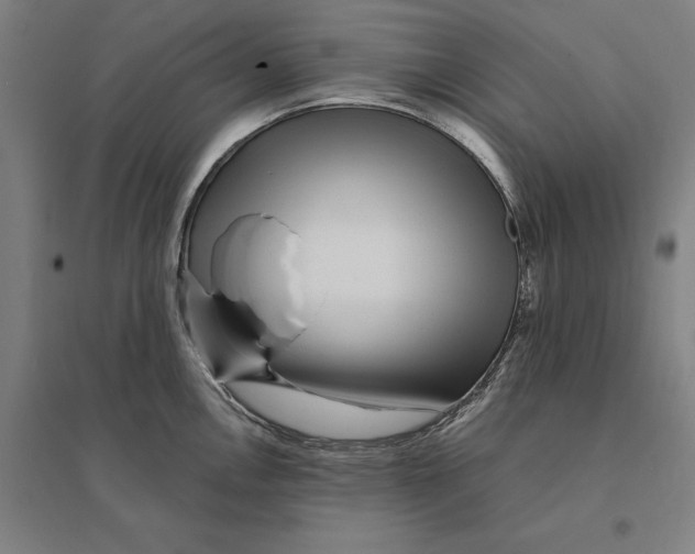 X0000095131146200712301818