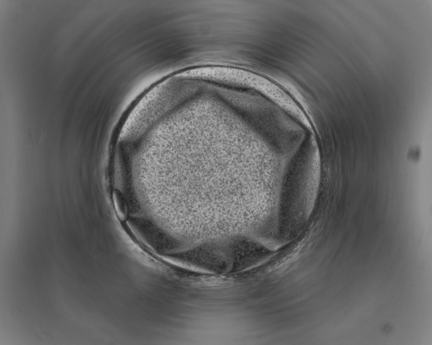 X0000095131147200712301819