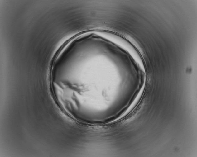 X0000095131149200712301819