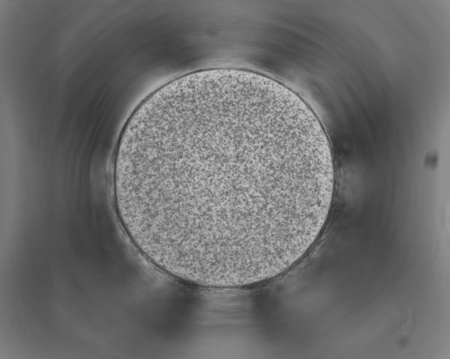 X0000095131150200712301819