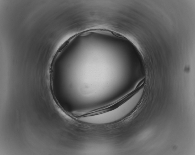 X0000095131151200712301819