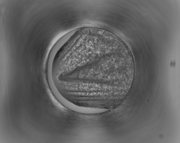 X0000095131152200712301819