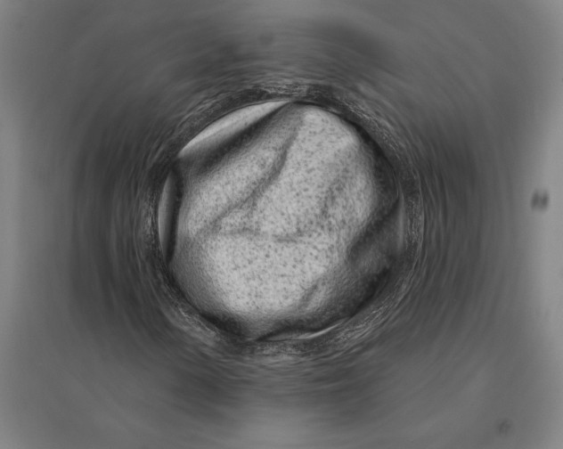 X0000095131154200712301818