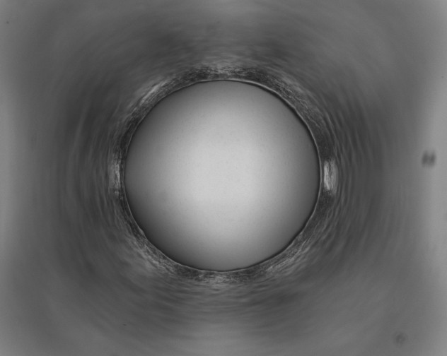 X0000095131155200712301818