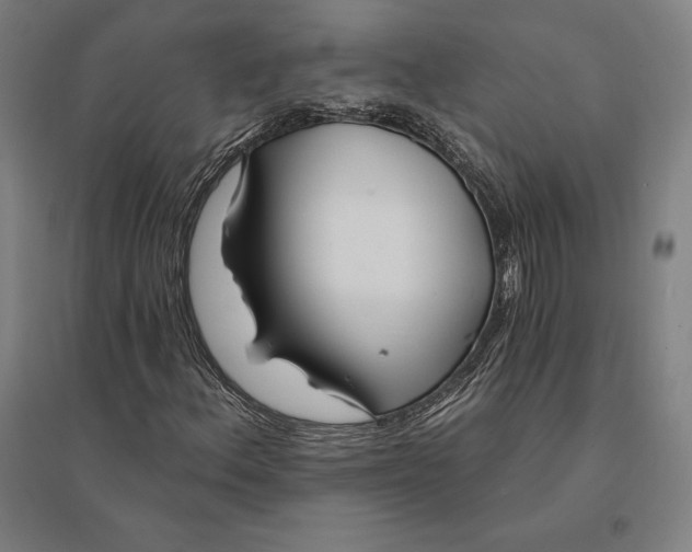 X0000095131156200712301818