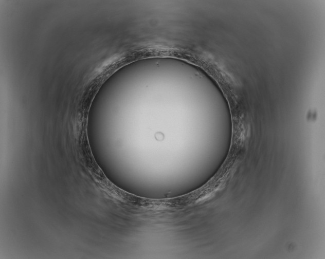 X0000095131157200712301818