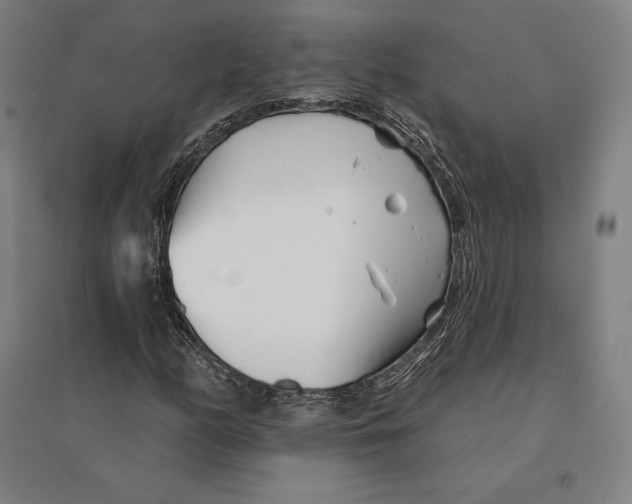 X0000095131158200712301818