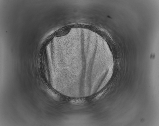 X0000095131159200712301818