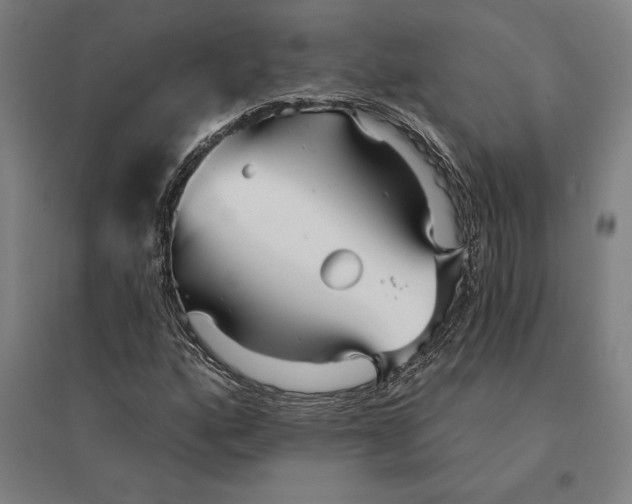 X0000095131160200712301818