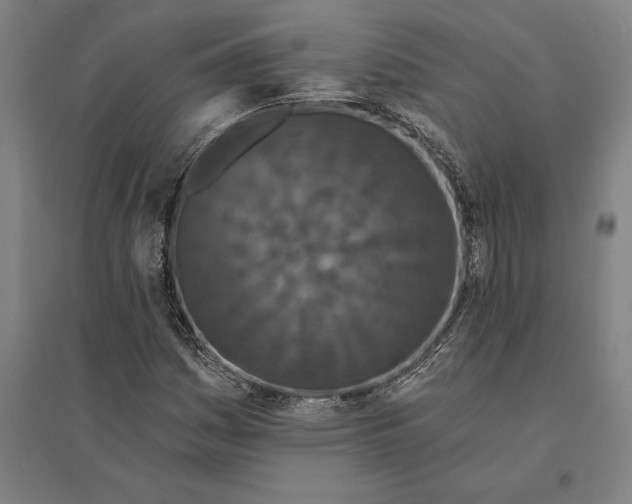 X0000095131161200712301818