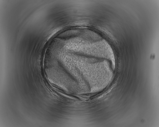 X0000095131162200712301818