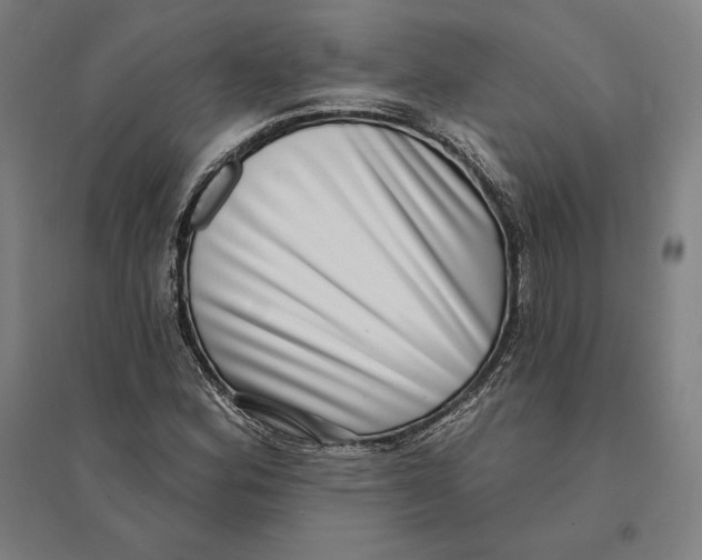 X0000095131164200712301818