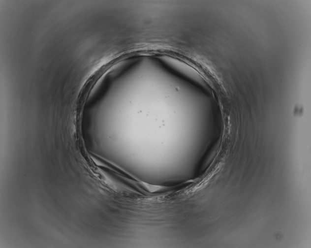 X0000095131165200712301818