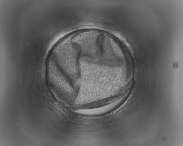 X0000095131167200712301818