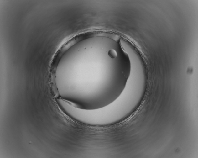 X0000095131168200712301818