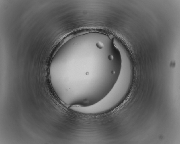 X0000095131169200712301818