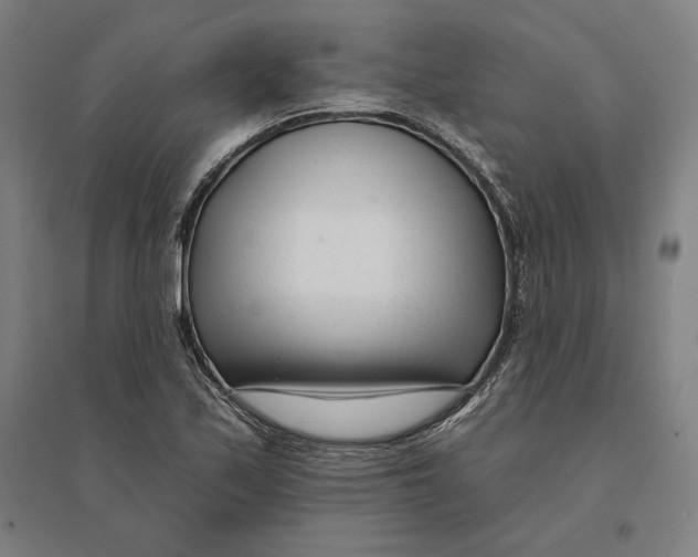 X0000095131171200712301817