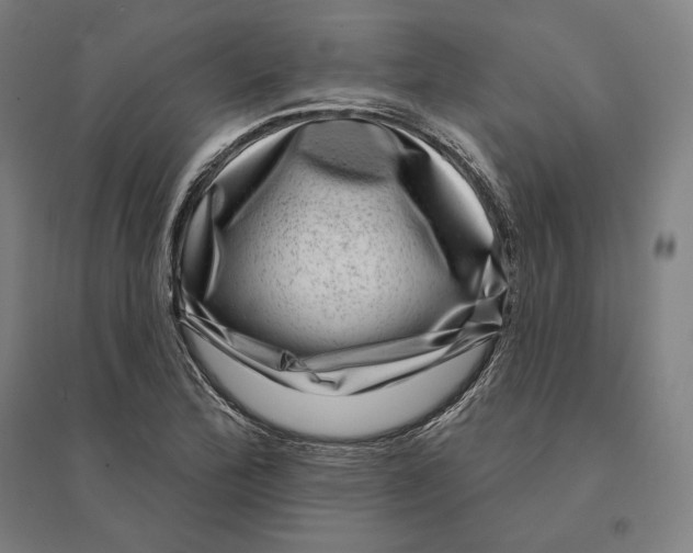 X0000095131172200712301817