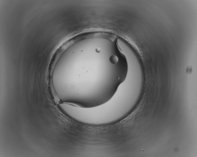 X0000095131173200712301817