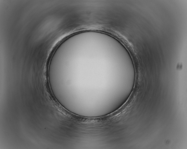 X0000095131174200712301817