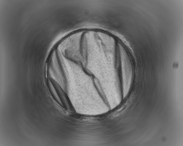 X0000095131175200712301817