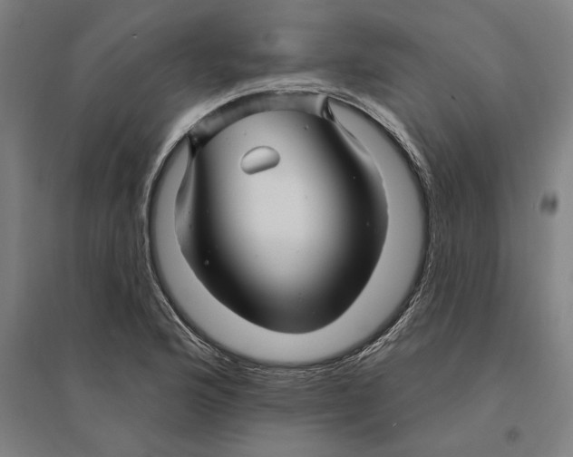 X0000095131176200712301817