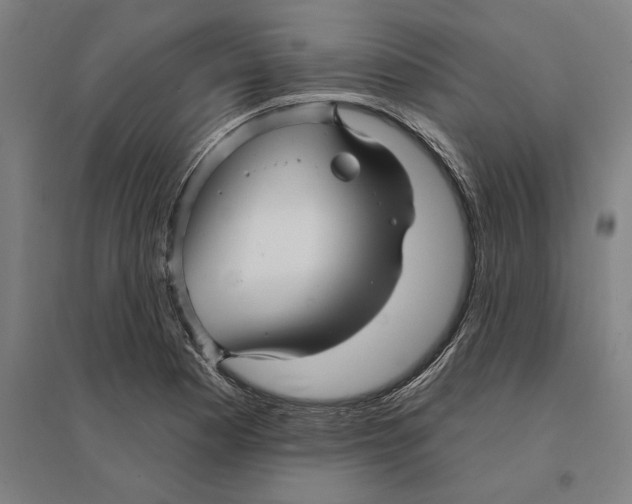 X0000095131177200712301817