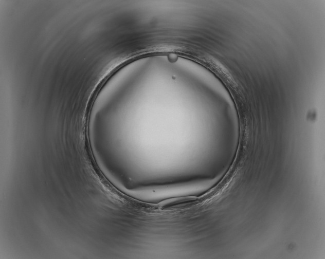 X0000095131178200712301817