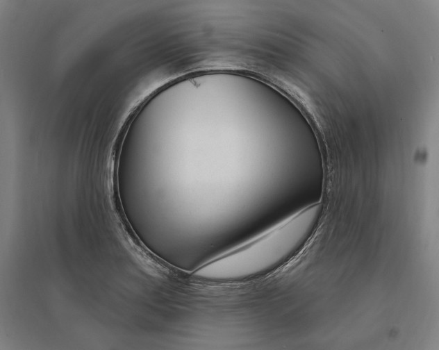 X0000095131179200712301817