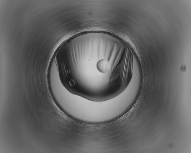 X0000095131181200712301817