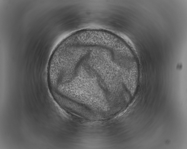 X0000095131183200712301817