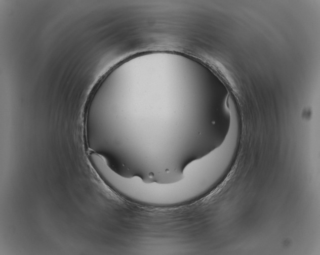 X0000095131184200712301817