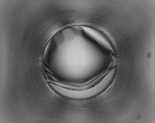 X0000095131185200712301817