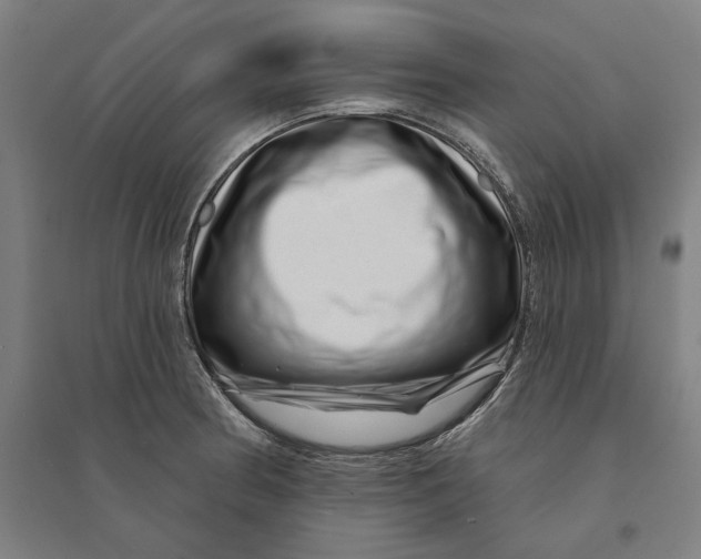 X0000095131186200712301817