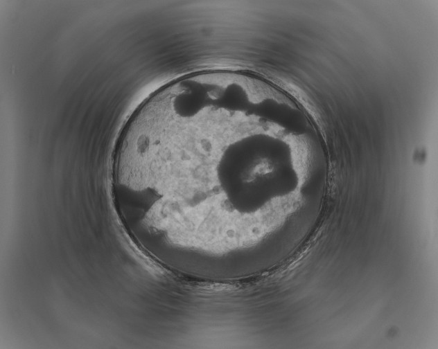 X0000095131187200712301817