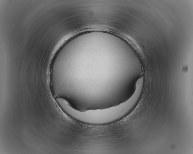 X0000095131188200712301817