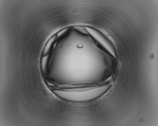 X0000095131189200712301817