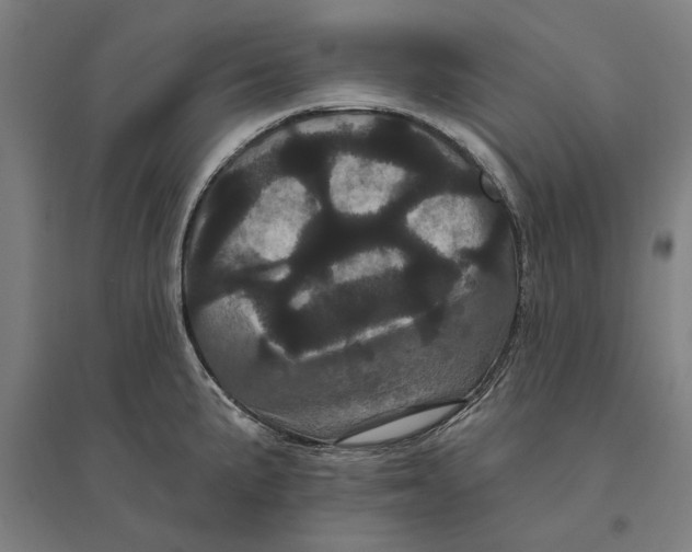 X0000095131191200712301817