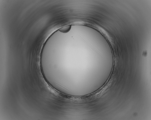 X0000095131194200712301817