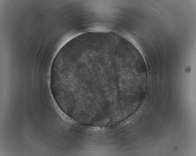 X0000095131195200712301817