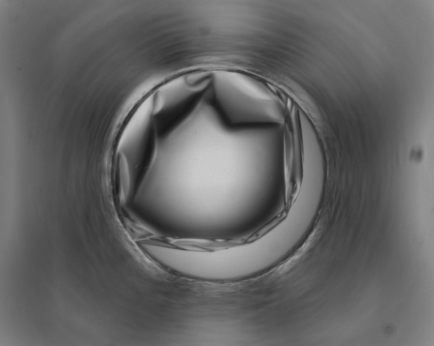 X0000095131196200712301817