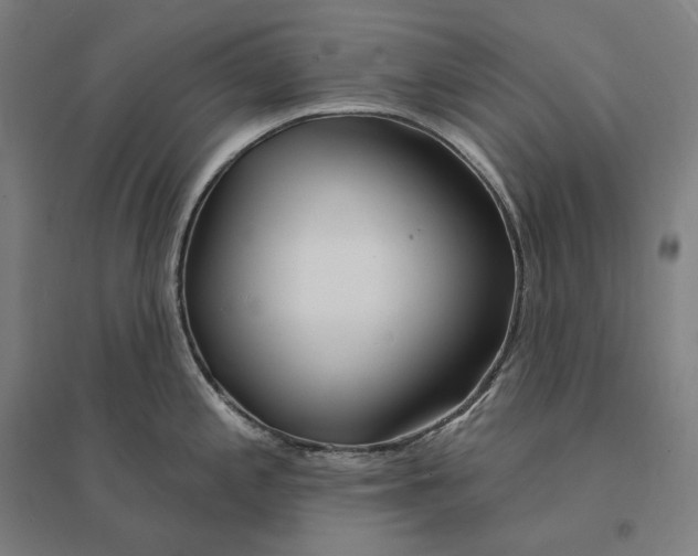 X0000095131197200712301817