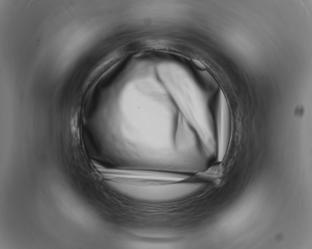 X0000095131198200712301817