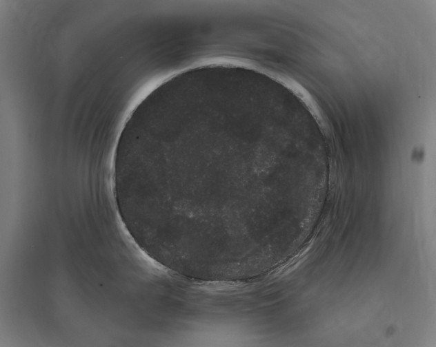 X0000095131199200712301817