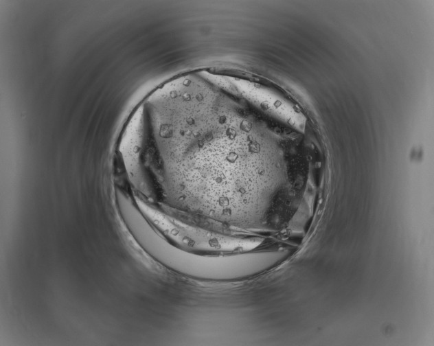 X0000095131200200712301817