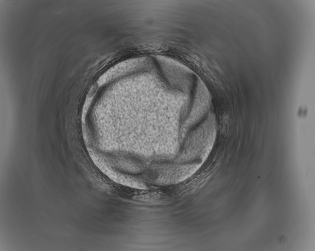 X0000095131201200712301816