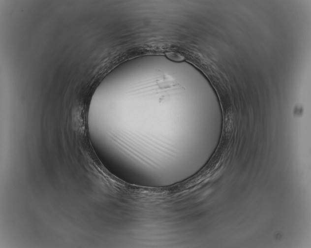 X0000095131202200712301816